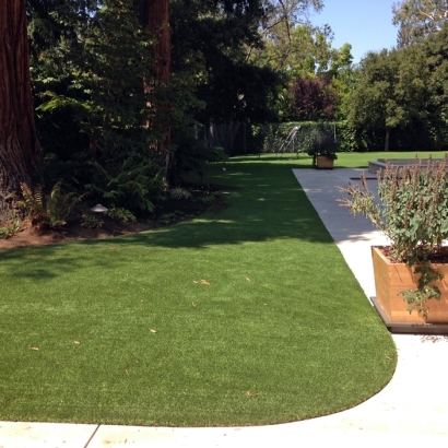 Synthetic Lawn Golden Hills, California Dog Run, Front Yard Design