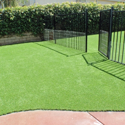 Synthetic Lawn Vincent, California Landscape Photos, Front Yard Landscape Ideas