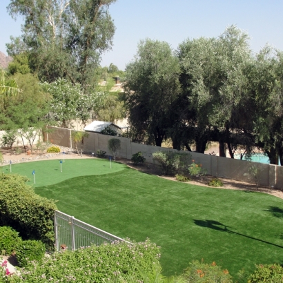 Synthetic Turf East La Mirada, California Best Indoor Putting Green, Backyard Landscaping Ideas