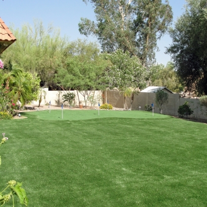 Synthetic Turf East La Mirada, California Best Indoor Putting Green, Backyard Landscaping Ideas