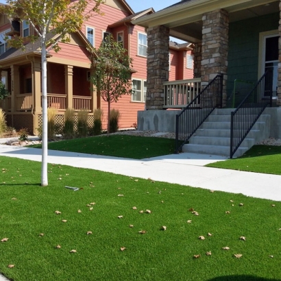 Synthetic Turf Piru, California Rooftop, Front Yard Landscaping