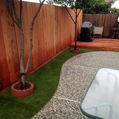 Synthetic Turf Supplier Edmundson Acres, California Backyard Playground, Backyard Landscaping