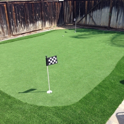 Synthetic Turf Supplier Lake Hughes, California Home And Garden, Backyard Landscaping