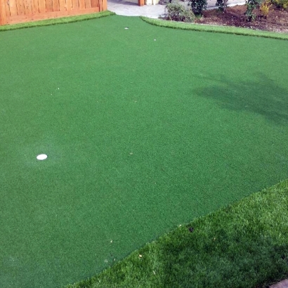 Synthetic Turf Supplier Mexican Colony, California Backyard Playground