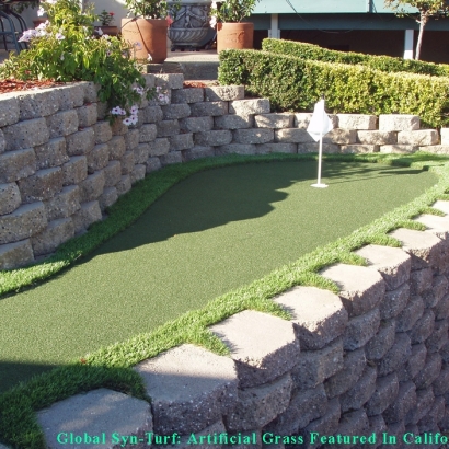 Synthetic Turf Supplier Oxnard, California Best Indoor Putting Green, Backyard Makeover