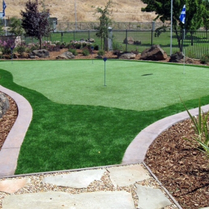 Synthetic Turf Supplier Sherman Oaks, California Home Putting Green, Backyard Landscape Ideas