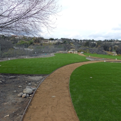 Turf Grass Arroyo Grande, California Home And Garden