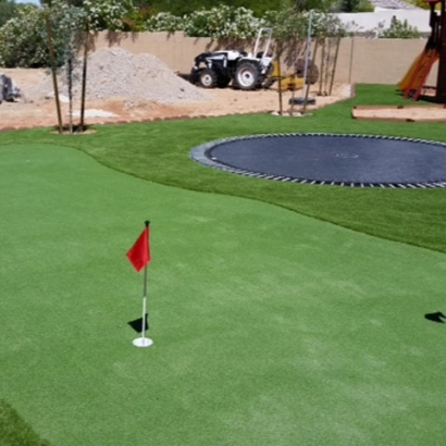 Turf Grass Santa Ana, California Putting Green, Backyard Garden Ideas