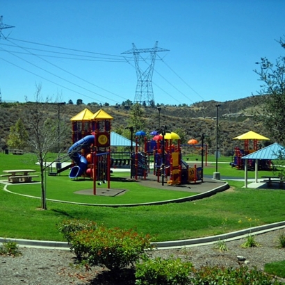 Turf Grass Walnut, California Backyard Playground, Parks