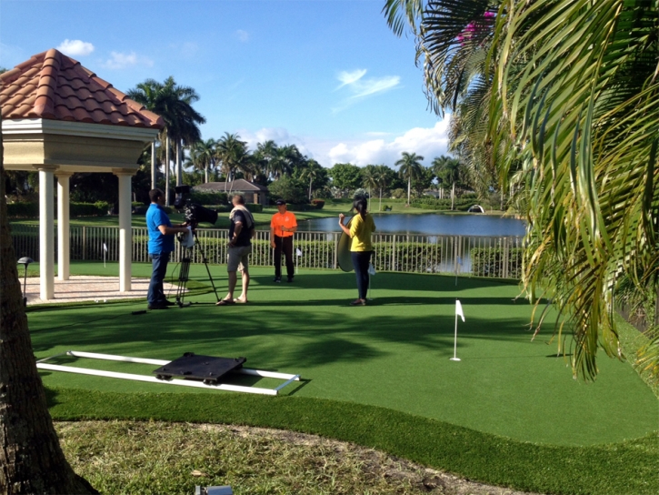 Artificial Grass Carpet Malibu, California Office Putting Green, Small Backyard Ideas