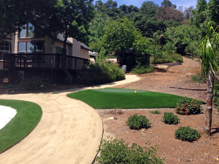 Artificial Grass Carpet Redondo Beach, California Home And Garden, Front Yard Design