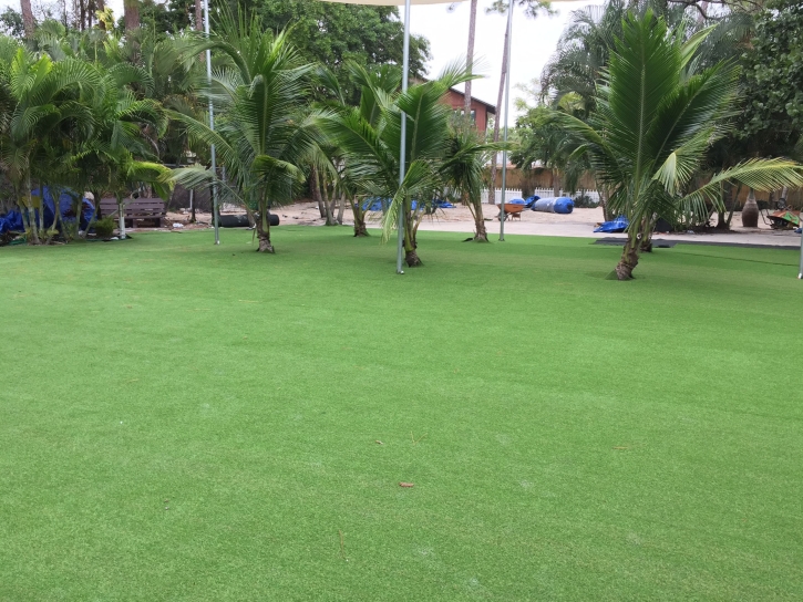 Artificial Grass Diamond Bar, California Home And Garden, Commercial Landscape