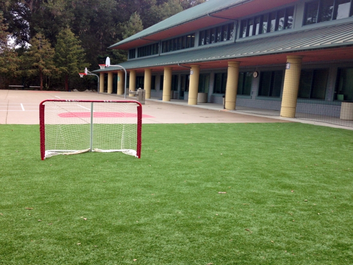 Artificial Grass Frazier Park, California High School Sports, Commercial Landscape