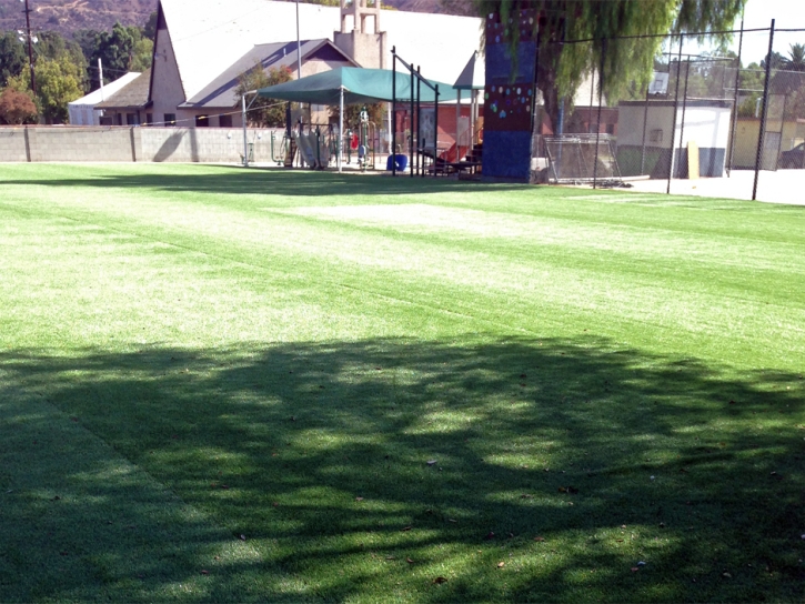 Artificial Grass Installation Anaheim, California Eco Friendly Products, Parks
