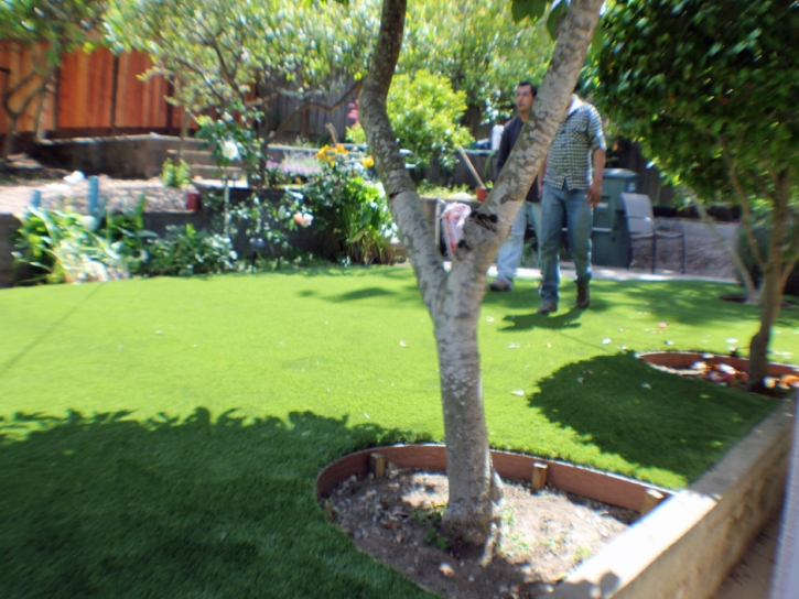 Artificial Grass Installation Rossmoor, California Landscaping Business, Backyard Design