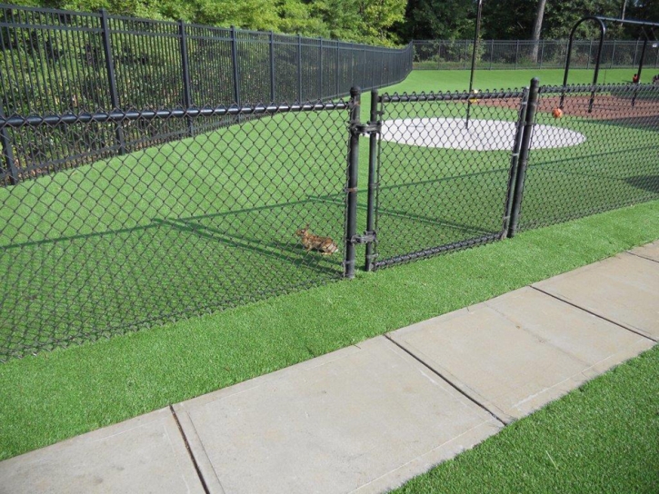 Artificial Grass La Palma, California Landscape Design, Recreational Areas