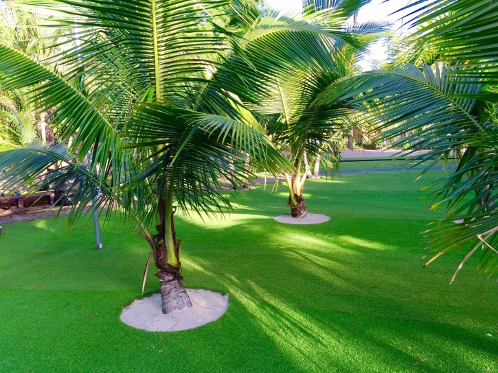 Artificial Grass South San Jose Hills, California Backyard Playground, Commercial Landscape