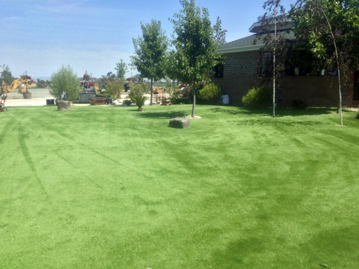Artificial Lawn Cudahy, California Design Ideas, Recreational Areas