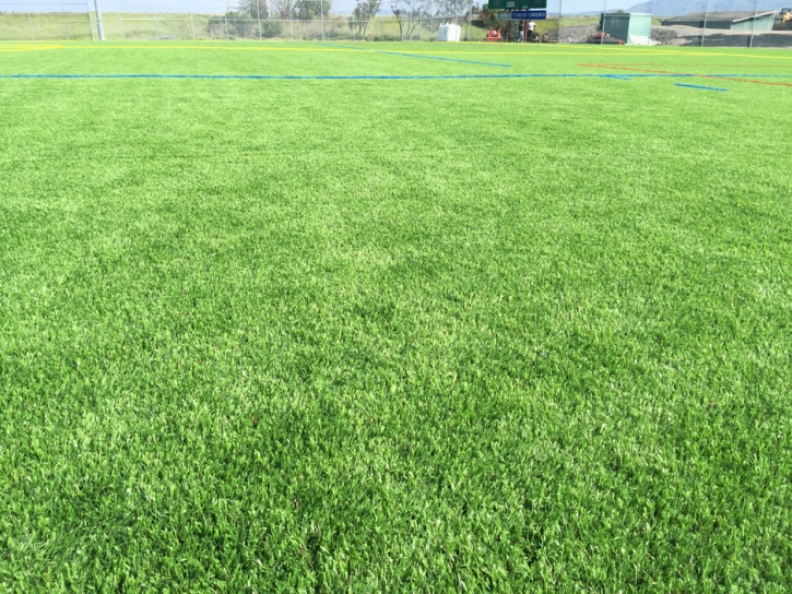 Artificial Lawn Orcutt, California Softball