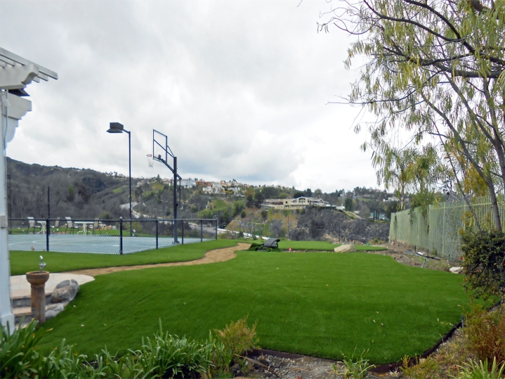Artificial Turf Agua Dulce, California Landscaping Business, Commercial Landscape