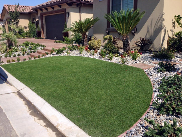 Artificial Turf Cost Edmundson Acres, California Lawn And Garden, Front Yard