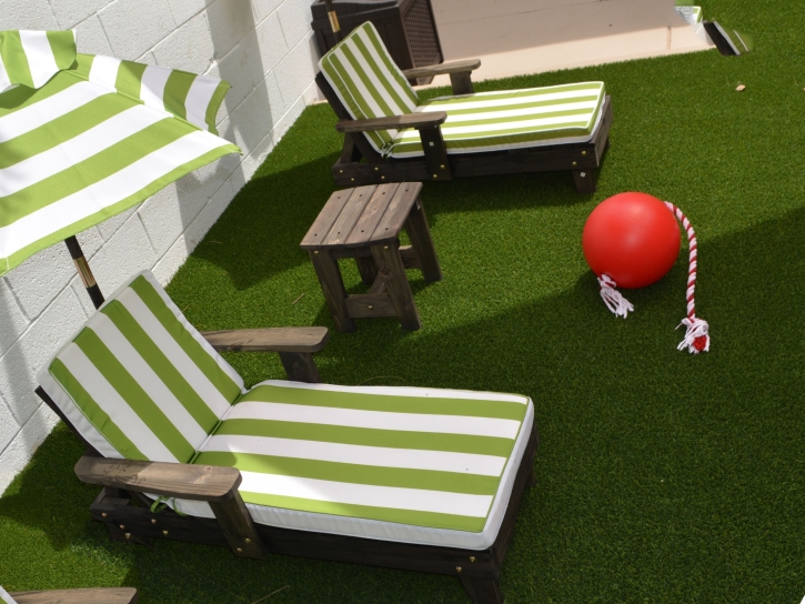 Artificial Turf Cost Pomona, California Landscape Design, Backyard Landscape Ideas