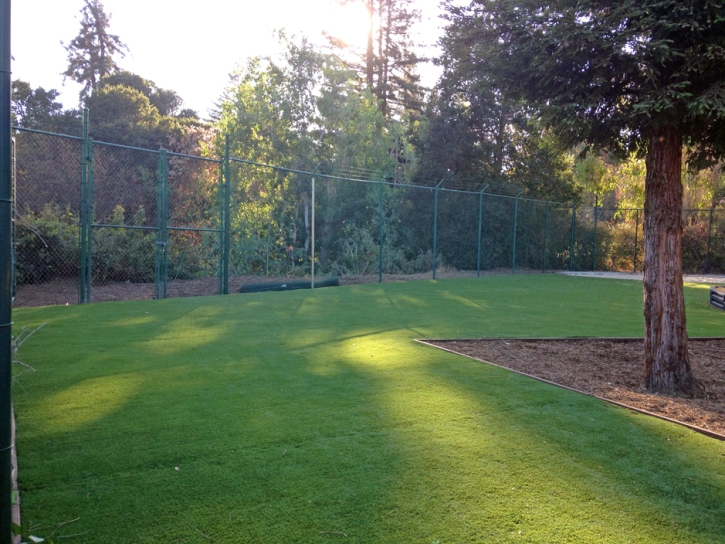 Artificial Turf Fillmore, California Rooftop, Recreational Areas