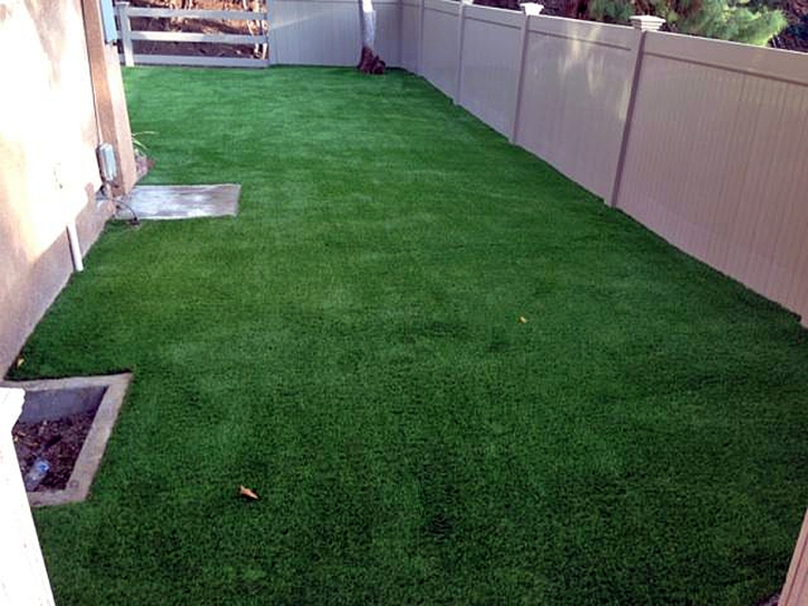 Artificial Turf Green Valley, California Pictures Of Dogs, Beautiful Backyards