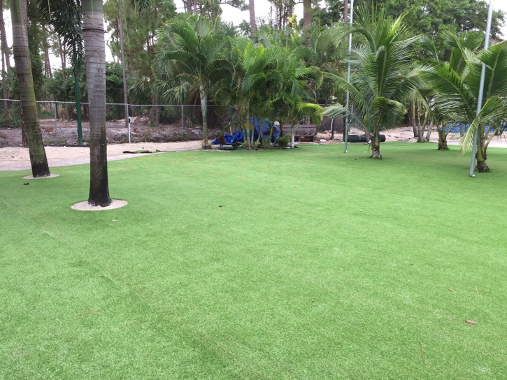 Artificial Turf Installation Garden Grove, California Landscape Ideas, Commercial Landscape