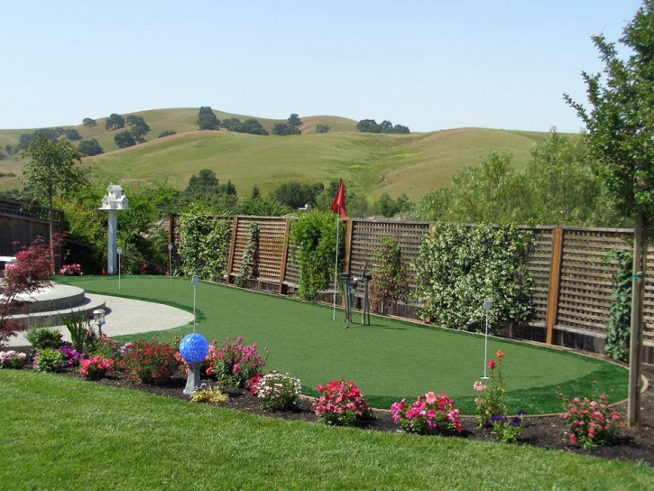 Artificial Turf North Hollywood, California Lawn And Garden, Backyard Landscape Ideas