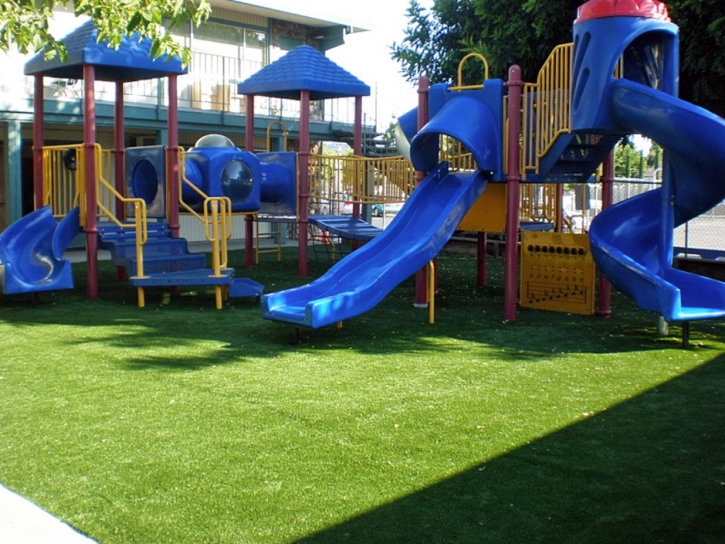 Best Artificial Grass Glendale, California Lacrosse Playground, Commercial Landscape