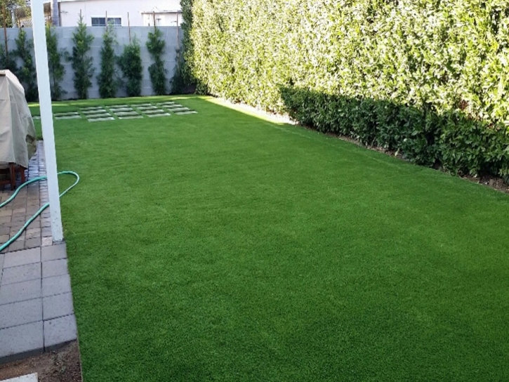 Best Artificial Grass Lomita, California Fake Grass For Dogs, Backyard Ideas