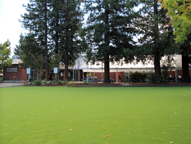Best Artificial Grass Pine Mountain Club, California City Landscape, Parks