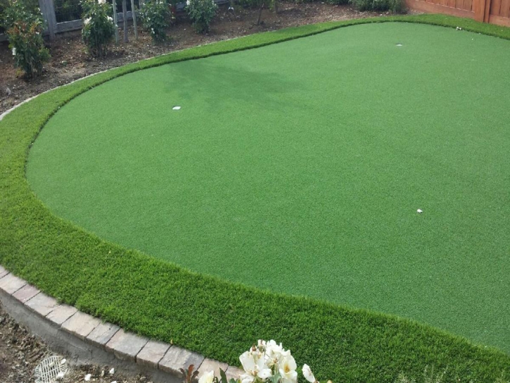 Best Artificial Grass South Gate, California Design Ideas, Small Backyard Ideas