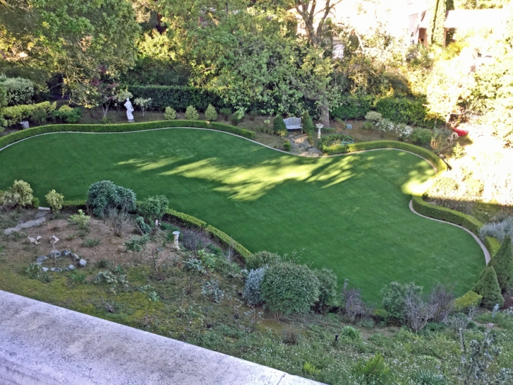 Fake Grass Carpet Irwindale, California Pet Paradise, Backyard Makeover