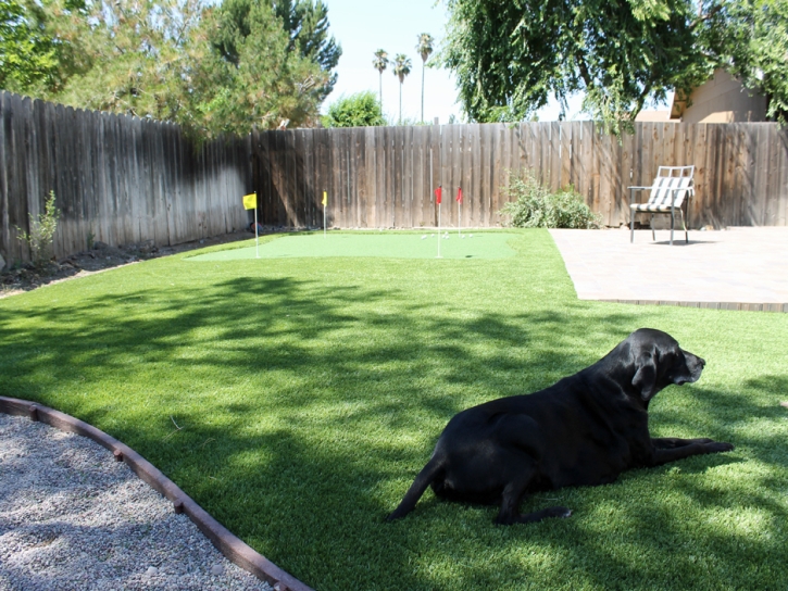 Fake Grass Carpet Vandenberg Air Force Base, California Roof Top, Grass for Dogs