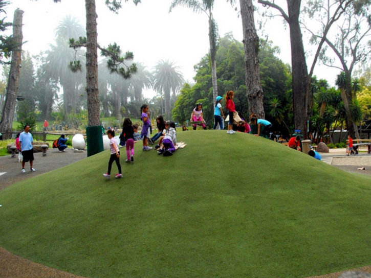 Fake Grass Carpinteria, California Landscaping, Parks