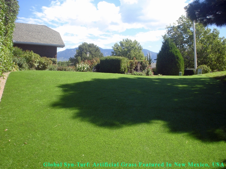 Fake Grass Channel Islands Beach, California Cat Grass, Backyard Design