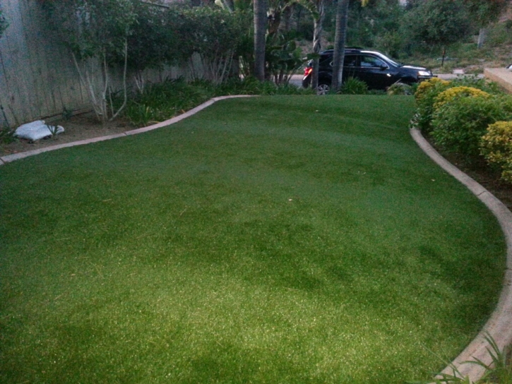 Fake Grass Fountain Valley, California Lawns, Front Yard Design