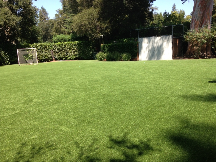Fake Lawn Golden Hills, California Backyard Sports, Backyard Garden Ideas