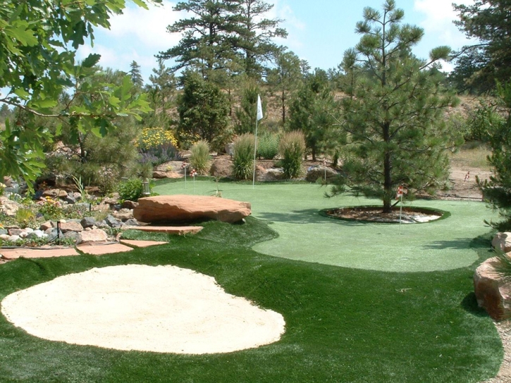 Fake Lawn Industry, California Indoor Putting Green, Backyard Makeover