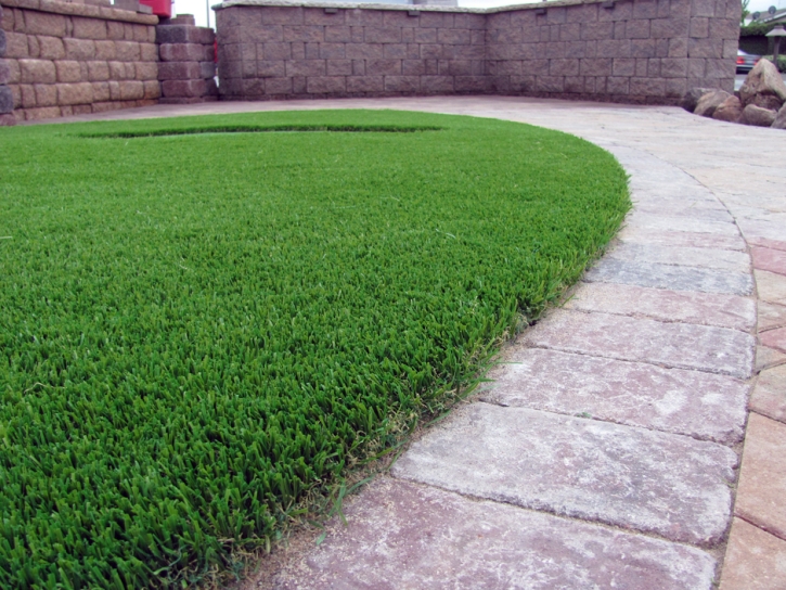 Fake Lawn Whittier, California Pet Grass, Small Front Yard Landscaping