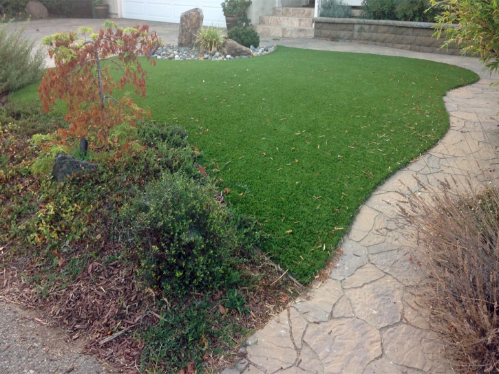 Fake Turf Sherman Oaks, California Dog Park, Small Backyard Ideas