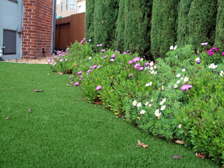 Fake Turf Walnut Park, California Home And Garden, Front Yard Landscaping Ideas