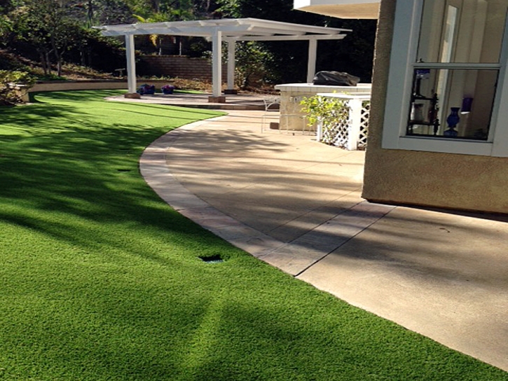 Faux Grass Rosemead, California Grass For Dogs, Landscaping Ideas For Front Yard