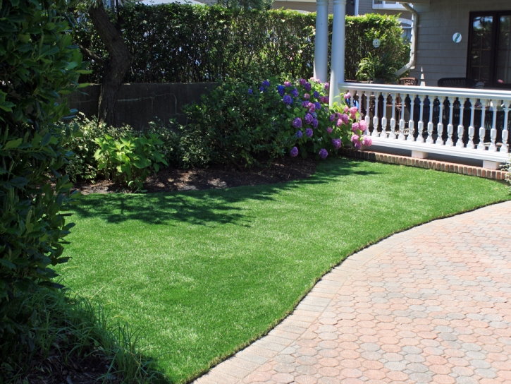 Faux Grass Santa Monica, California Landscape Design, Front Yard Ideas