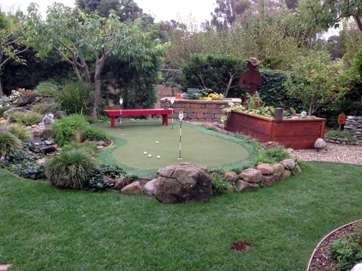 Faux Grass Westminster, California Garden Ideas, Backyard Ideas