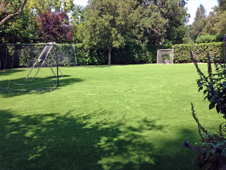 Grass Carpet Bradbury, California Football Field, Backyard Design