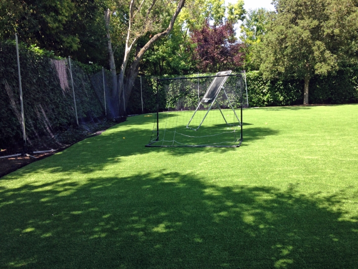 Grass Carpet Channel Islands Beach, California Garden Ideas, Backyard Landscaping