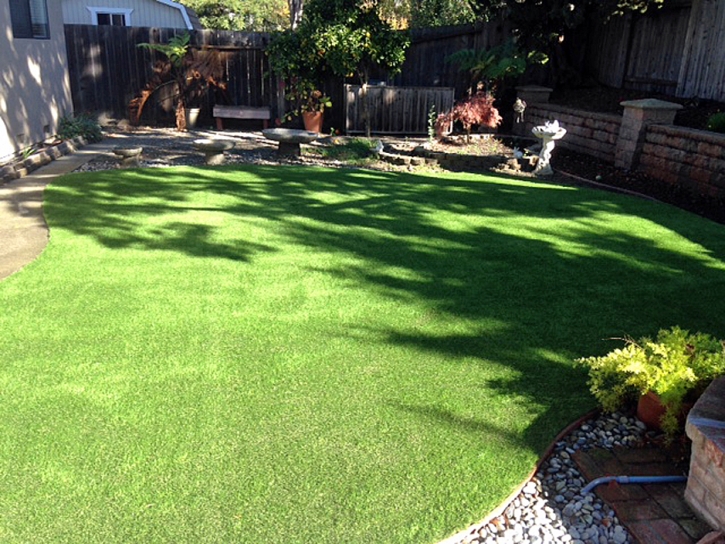 Grass Carpet West Whittier-Los Nietos, California Design Ideas, Backyard Designs